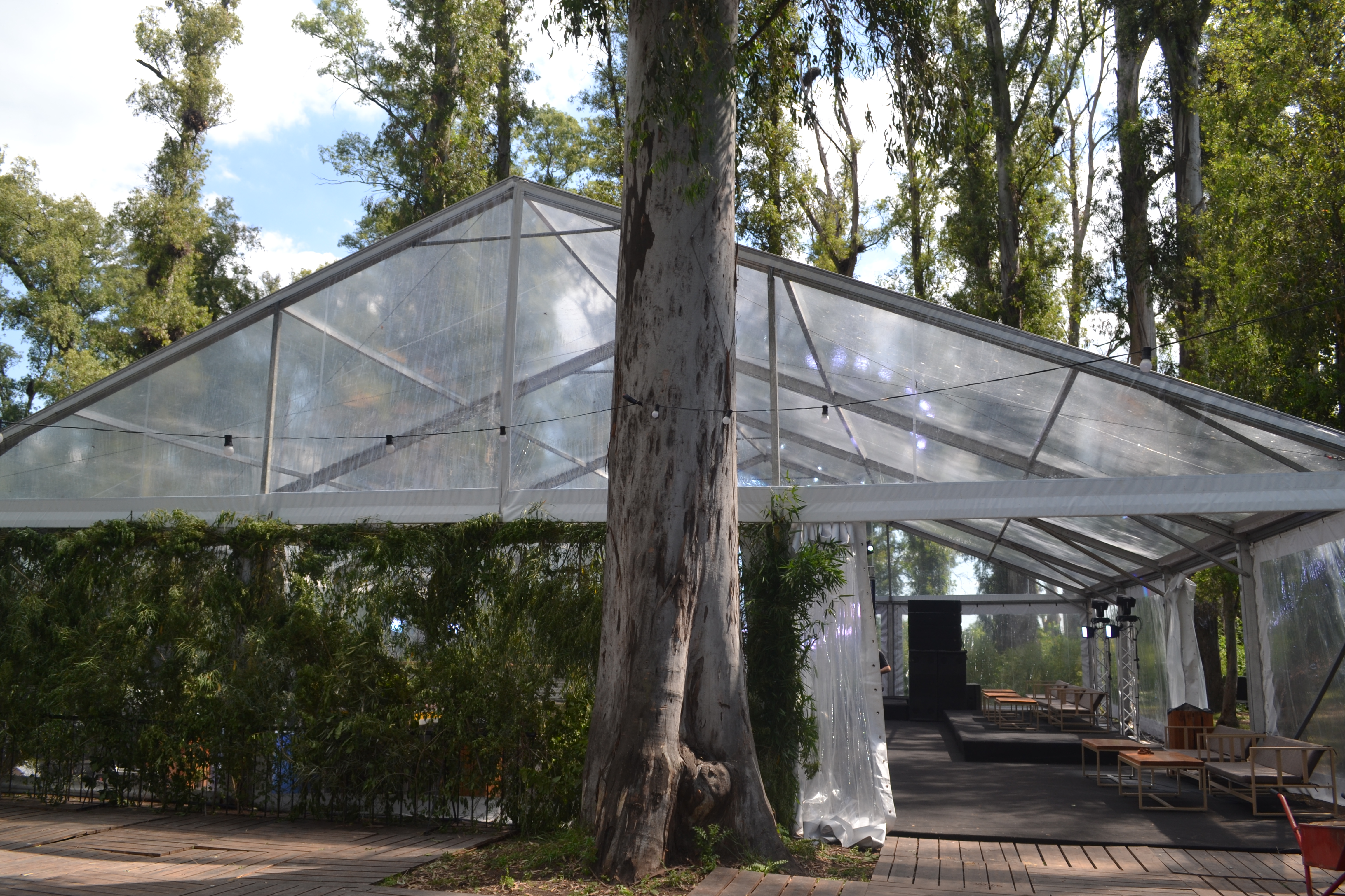 Carpa transparente con árboles en Polo Park